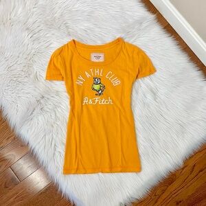 Y2k abercrombie embroidered baby tee
